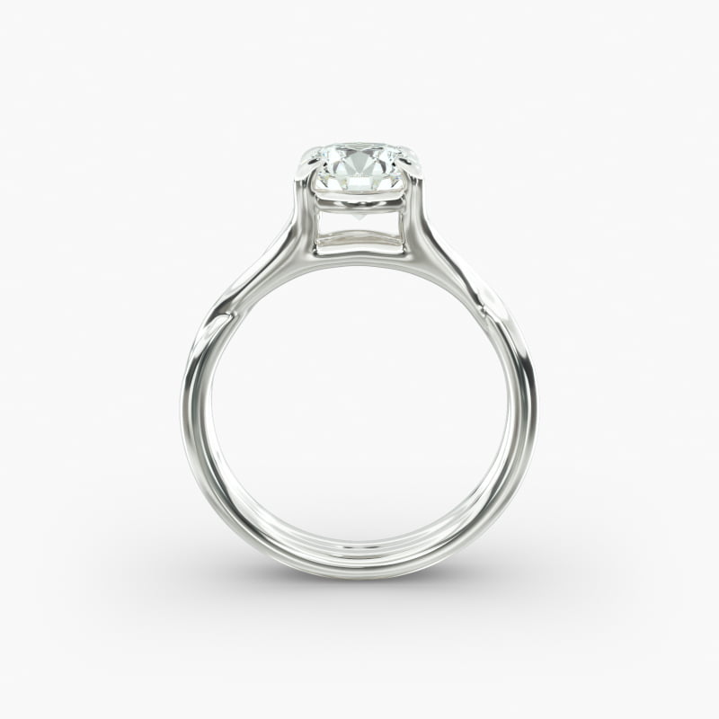 sets__Jewelry__Photoshoot__JamesAllen__BrioPackshot__Rings__11191__11191_M1_RND_DIM_wht_0100CT_W_003_800X800.jpg