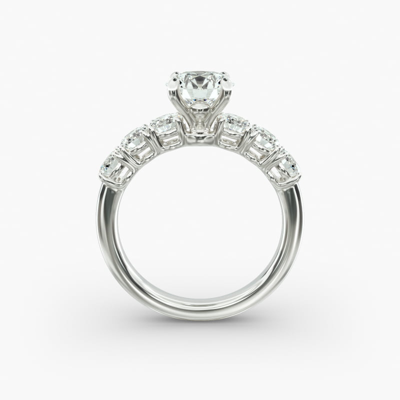 sets__Jewelry__Photoshoot__JamesAllen__BrioPackshot__Rings__17555__17555_M1_RND_DIM_wht_0100CT_W_003_800X800.jpg
