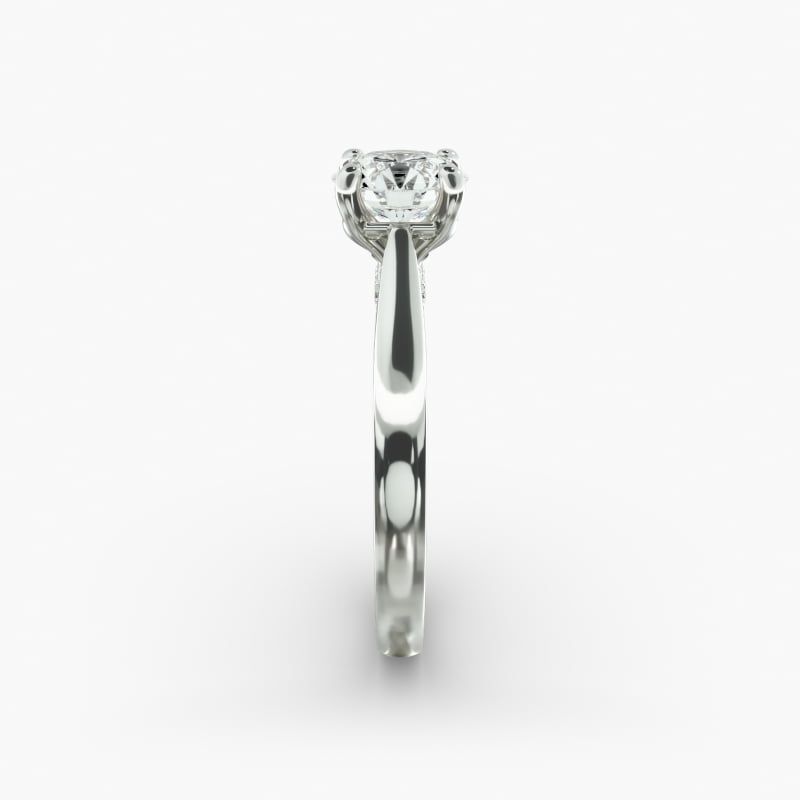 sets__Jewelry__Photoshoot__JamesAllen__BrioPackshot__Rings__17719__17719_M1_RND_DIM_wht_0100CT_W_004_800X800.jpg