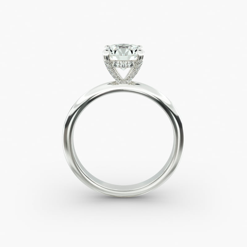 sets__Jewelry__Photoshoot__JamesAllen__BrioPackshot__Rings__17787__17787_M1_RND_DIM_wht_0100CT_W_003_800X800.jpg