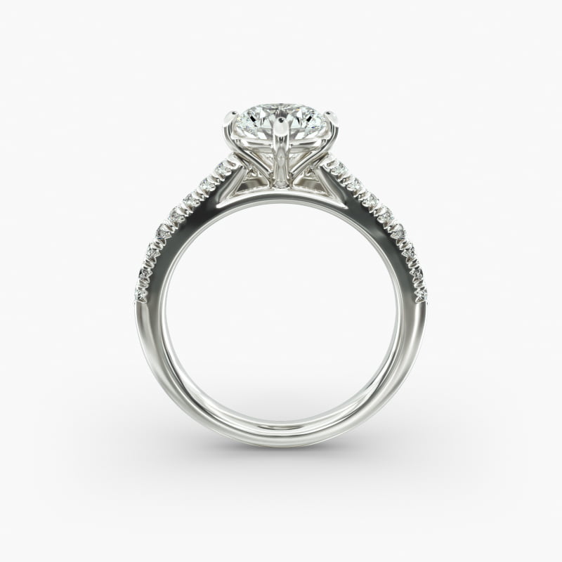 sets__Jewelry__Photoshoot__JamesAllen__BrioPackshot__Rings__18117__18117_M1_RND_DIM_wht_0100CT_W_003_800X800.jpg