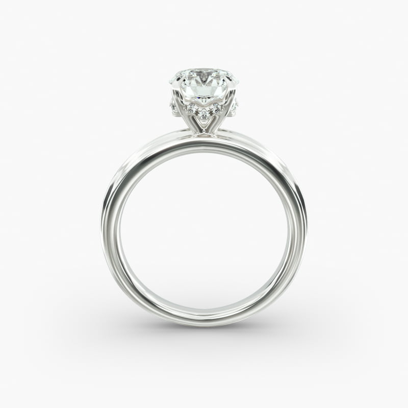 sets__Jewelry__Photoshoot__JamesAllen__BrioPackshot__Rings__18126__18126_M1_RND_DIM_wht_0100CT_W_003_800X800.jpg